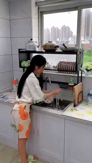Stainless Steel Over Sink Dish Rack with cover